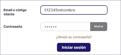 Ejemplo login nuevo